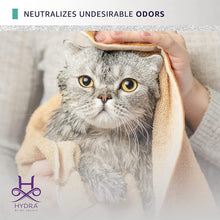 Load image into Gallery viewer, Hydra Professional Eye & Face Cleaner