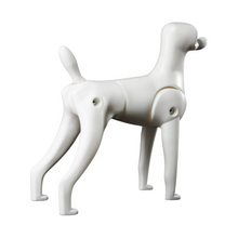 Load image into Gallery viewer, Mr. Jiang Model Dog Teddy Bear Mannequin