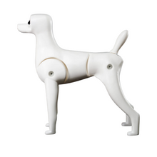 Load image into Gallery viewer, Mr. Jiang Model Dog Teddy Bear Mannequin