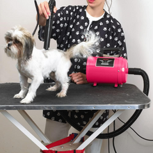 Load image into Gallery viewer, MetroVac Air Force Commander Variable Speed Dryer - Pink