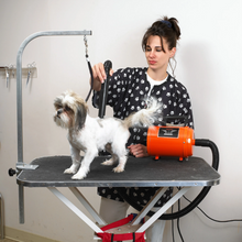 Load image into Gallery viewer, MetroVac Air Force Commander 2 Speed Dryer - Orange