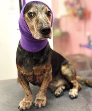 Load image into Gallery viewer, Happy Hoodie Dog Snood Extra Small - Dark Blue