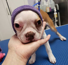Load image into Gallery viewer, Happy Hoodie Dog Snood Extra Small - Dark Blue