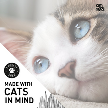 Load image into Gallery viewer, Cat Space Catnip Herbal Shampoo - 295ml