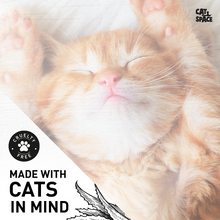 Load image into Gallery viewer, Cat Space Aloe Vera Shampoo - 295ml