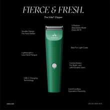 Load image into Gallery viewer, Andis Vida Cordless 5 in 1 Trimmer Clipper - Green