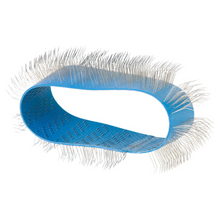 Load image into Gallery viewer, Auto Dog Brush Petite Brushbelt Blue