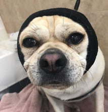 Load image into Gallery viewer, Happy Hoodie Dog Snood Large - Black
