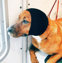 Load image into Gallery viewer, Happy Hoodie Dog Snood Large - Black