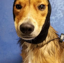 Load image into Gallery viewer, Happy Hoodie Dog Snood 2 Pack Small and Large - Black