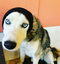 Load image into Gallery viewer, Happy Hoodie Dog Snood Large - Black