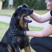 Load image into Gallery viewer, Black Magic Grooming Gloves
