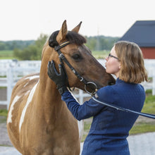Load image into Gallery viewer, Black Magic Grooming Gloves