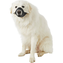 Load image into Gallery viewer, DogIt Muzzle Nylon Black - Extra Large (21.5cm)