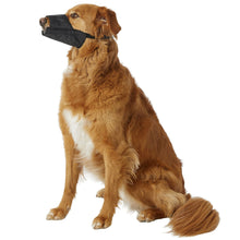 Load image into Gallery viewer, DogIt Muzzle Nylon Black - Large (18.5cm)