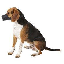 Load image into Gallery viewer, DogIt Muzzle Nylon Black - Medium (14cm)