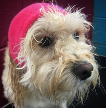 Load image into Gallery viewer, Happy Hoodie Dog Snood Large - Purple