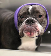 Load image into Gallery viewer, Happy Hoodie Dog Snood Large - Purple