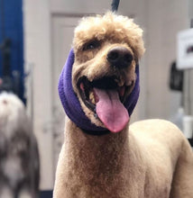 Load image into Gallery viewer, Happy Hoodie Dog Snood 2 Pack Small and Large - Black