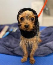 Load image into Gallery viewer, Happy Hoodie Dog Snood 2 Pack Purple Sml and Lrg