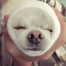 Load image into Gallery viewer, Happy Hoodie Dog Snood Small - Black