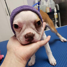 Load image into Gallery viewer, Happy Hoodie Dog Snood Small - Purple