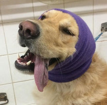 Load image into Gallery viewer, Happy Hoodie Dog Snood Large - Purple