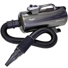 Load image into Gallery viewer, Shernbao Super Blaster Dual Motor Dryer - Graphite