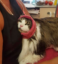 Load image into Gallery viewer, Happy Hoodie Dog Snood Small - Pink