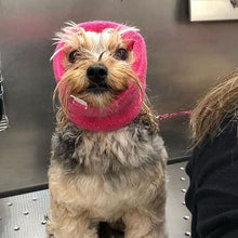 Load image into Gallery viewer, Happy Hoodie Dog Snood Small - Pink
