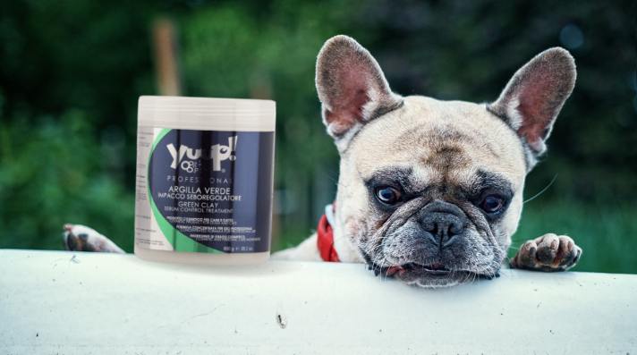How to use Yuup! Spa Treatments – AllGroom