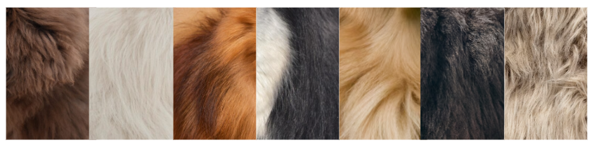 Best shampoo for 2024 double coated dogs