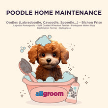 Load image into Gallery viewer, Poodle Home Maintenance Kit