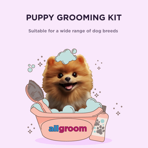Puppy Kit