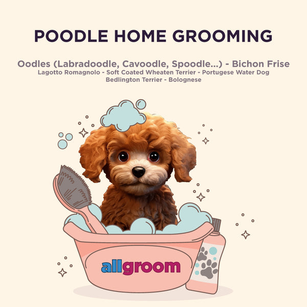 Poodle Home Grooming Kit – AllGroom