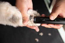Load image into Gallery viewer, Wahl Fidela Trimmer