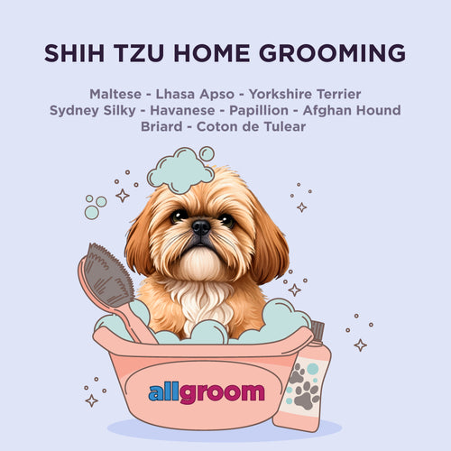Shih Tzu Home Grooming kit
