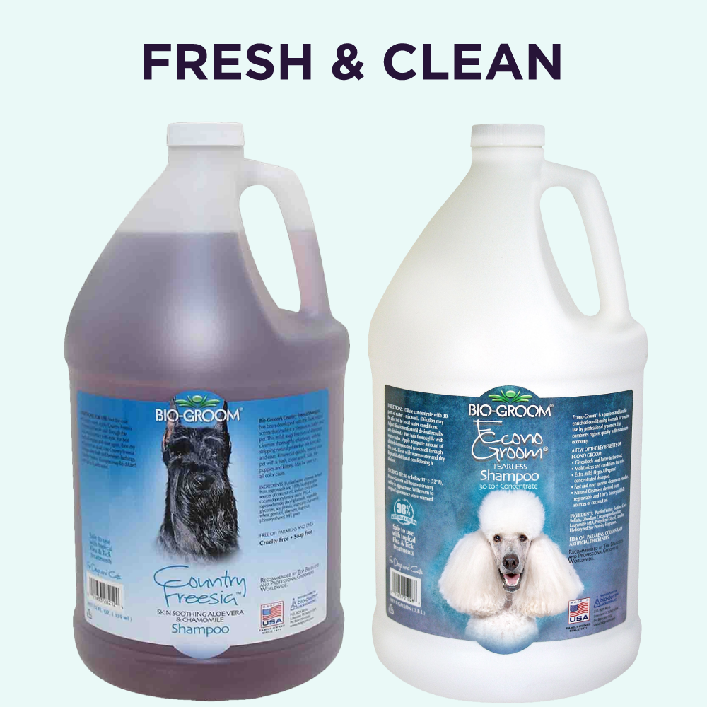 Bio-Groom Fresh & Clean Shampoo Bundle 3.8L