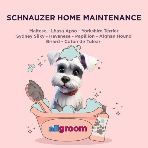 Schnauzer Home Maintenance kit