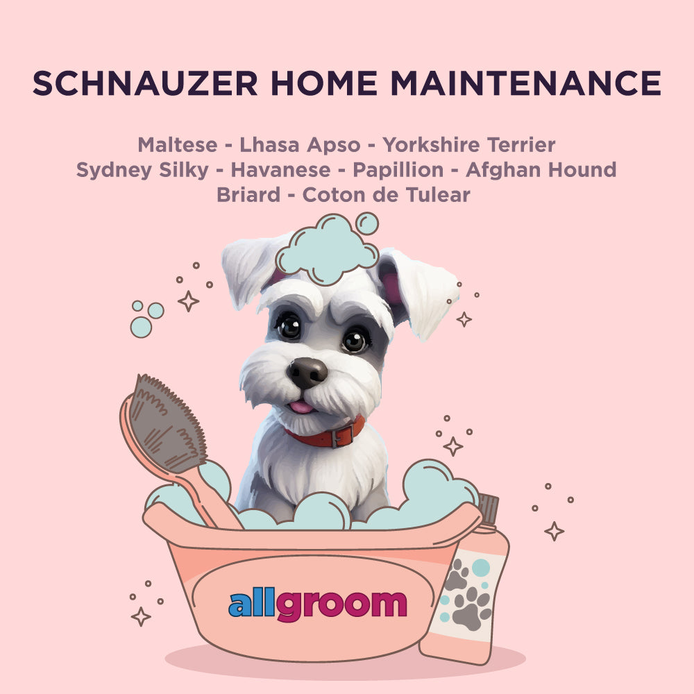 Schnauzer Home Maintenance kit