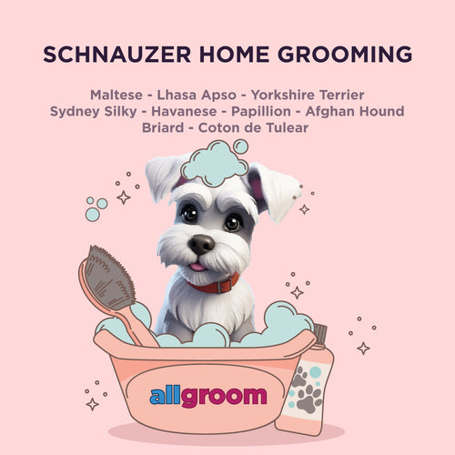 Schnauzer Home Grooming kit