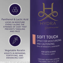 Load image into Gallery viewer, Hydra Professional Soft Touch Spray Moisturizing/Cauterizing - 500ml