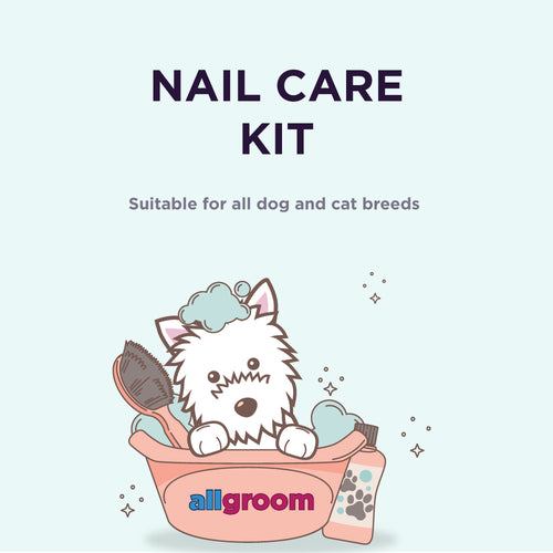Nail Care Kit