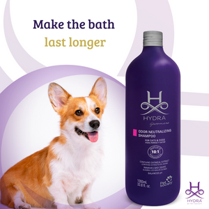 Hydra
Pet Shampoo
dog shampoo
cat shampoo
Professional grooming
pet grooming shampoo
Natural shampoo
Professional shampoo