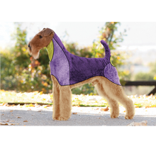 Load image into Gallery viewer, Breed-Specific Grooming
Pattern Placement
Dog Grooming Techniques
Grooming Patterns
Pet Trimming
Undercoat Grooming 
Show Dog Grooming 