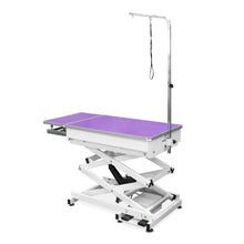 Load image into Gallery viewer, Beaumont Electric Lift Grooming Table 120cm - Purple - Refurbished + Free Mat