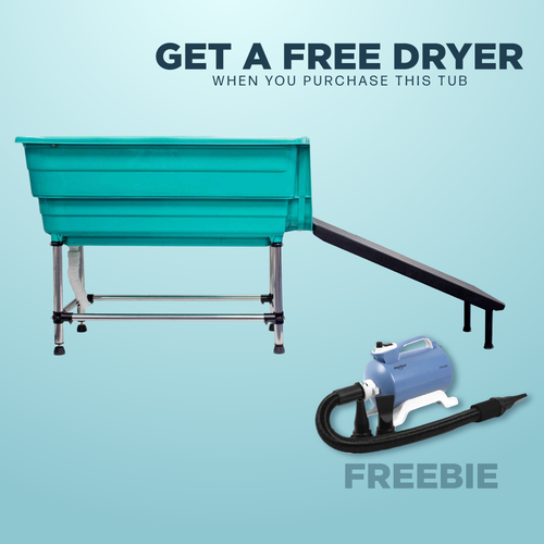 Compact Teal Bath Tub with Ramp