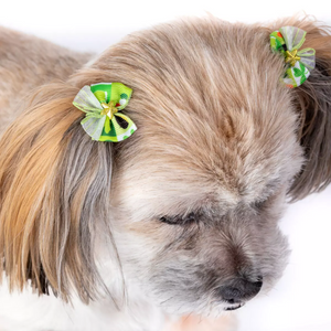 Groom Professional St Patrick's Day Bows - 25 Pack
