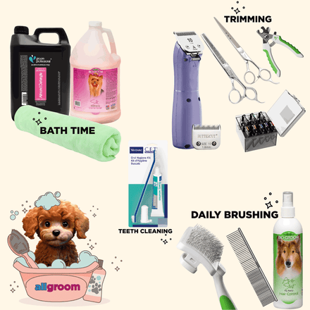 Poodle Home Grooming Kit