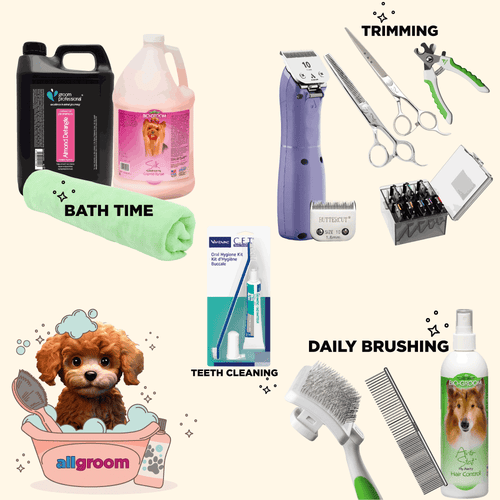 Poodle Home Grooming Kit